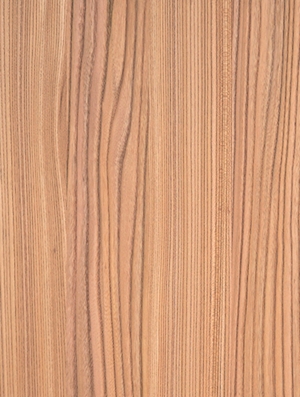 Front 218v - ULM NATURAL